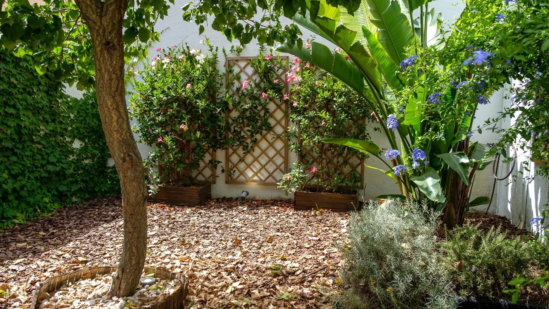Pretty House Sa Font In Santa Catalina Palma City بيت للعطل ميورقة